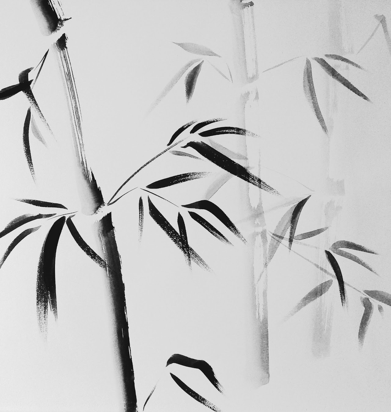 Bambous à l’encre noire, aux feuilles et aux tiges calligraphiques.