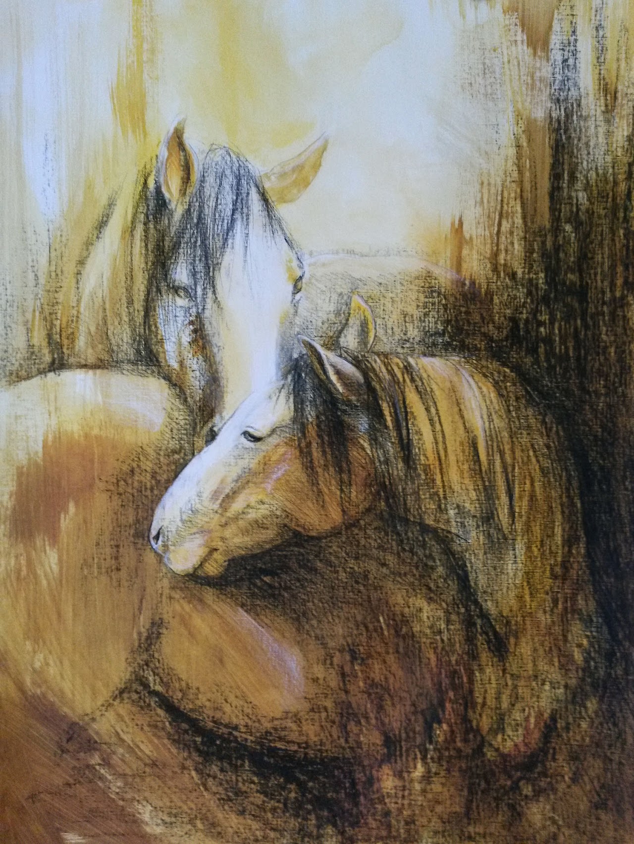 Études de chevaux et de leur anatomie.