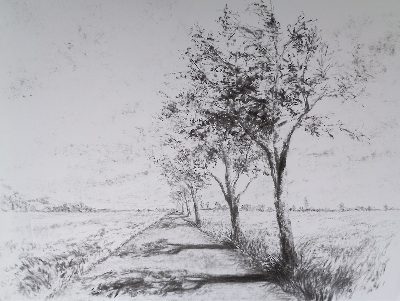 Chemin bordé d’arbres représenté en valeurs de gris.