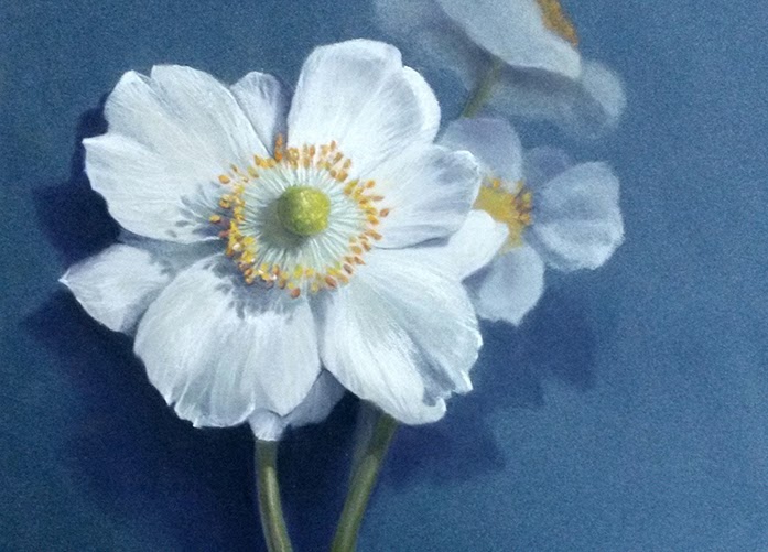 Une fleur blanche au cœur vert et doré, accompagnée de fleurs plus floues sur un fond bleu.